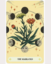 Load image into Gallery viewer, Herbana Witch Oracle