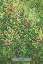 Load image into Gallery viewer, Forest of Enchantment Oracle