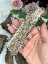 Load image into Gallery viewer, Permineralized Wood Specimens