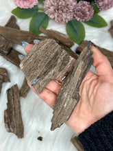 Load image into Gallery viewer, Permineralized Wood Specimens