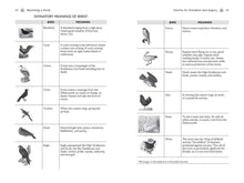 Load image into Gallery viewer, Celtic Druidry by Ellen Evert Hopman