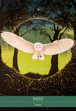 Load image into Gallery viewer, Shamanic Medicine Oracle Cards