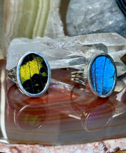 Load image into Gallery viewer, Butterfly/Moth Wing Fine Silver Rings