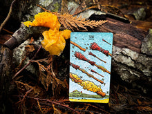 Load image into Gallery viewer, The Mushroom Hunter's Arcanum: a 78-Card Tarot Deck