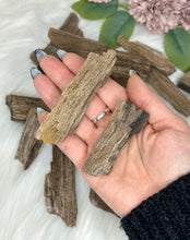 Load image into Gallery viewer, Permineralized Wood Specimens