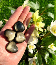 Load image into Gallery viewer, Gold Sheen Obsidian Hearts