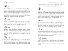 Load image into Gallery viewer, Celtic Druidry by Ellen Evert Hopman