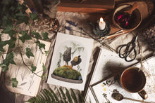 Load image into Gallery viewer, Morel Mushroom Snail Card- Vintage Cloche Terrarium Scene