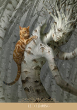 Load image into Gallery viewer, Paolo Barbieri Fantasy Cats Oracle