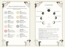 Load image into Gallery viewer, Magicka: Finding Spiritual Guidance Through Plants, Herbs, Crystals, and More by Carlota Santos