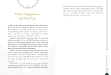 Load image into Gallery viewer, Finding Faeries by Alexandra Rowland