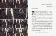 Load image into Gallery viewer, Fantastic Fungi