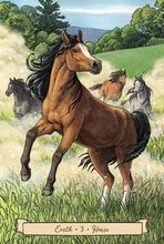 Load image into Gallery viewer, Everyday Witch's Familiars Oracle