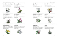 Load image into Gallery viewer, The Green Witch's Garden by Arin Murphy-Hiscock