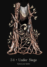 Load image into Gallery viewer, Lost Oracle by Fiona Horne