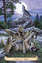 Load image into Gallery viewer, Everyday Witch's Familiars Oracle