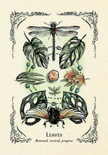 Load image into Gallery viewer, Green Witch's Oracle Deck by Arin Murphy-Hiscock