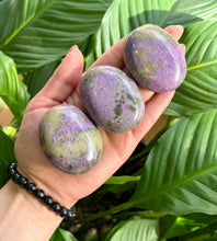 Load image into Gallery viewer, Stichtite & Serpentine (Atlantisite) - Palm Stones