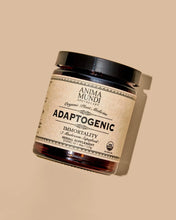 Load image into Gallery viewer, ADAPTOGENIC Powder | Organic, 7 Medicinal Mushrooms + Cacao 4oz