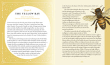 Load image into Gallery viewer, The Rainbow Witch: Secret Powers of Color