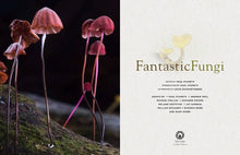 Load image into Gallery viewer, Fantastic Fungi