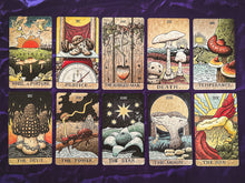 Load image into Gallery viewer, The Mushroom Hunter's Arcanum: a 78-Card Tarot Deck