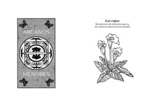 Load image into Gallery viewer, Tarot de los espíritus de la naturaleza by Jean Marie Herzel