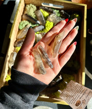Load image into Gallery viewer, Smoky Quartz Points