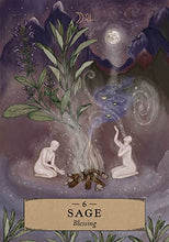Load image into Gallery viewer, The Herbal Astrology Oracle