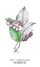 Load image into Gallery viewer, Hedgewitch Botanical Oracle