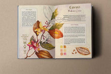 Load image into Gallery viewer, Moon Seeds 2026 - A guide to cyclical living