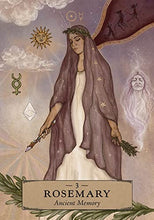 Load image into Gallery viewer, The Herbal Astrology Oracle