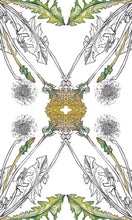 Load image into Gallery viewer, Hedgewitch Botanical Oracle