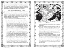 Load image into Gallery viewer, Llewellyn’s 2025 Magical Almanac