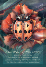 Load image into Gallery viewer, Spirit of the Animals Oracle
