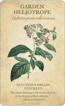 Load image into Gallery viewer, Botanical Inspirations Deck & Book set