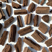 Load image into Gallery viewer, Permineralized Wood Specimens