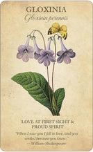 Load image into Gallery viewer, Botanical Inspirations Deck & Book set