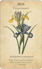 Load image into Gallery viewer, Botanical Inspirations Deck & Book set
