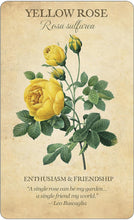 Load image into Gallery viewer, Botanical Inspirations Deck & Book set