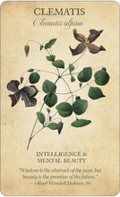 Load image into Gallery viewer, Botanical Inspirations Deck & Book set