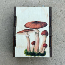 Load image into Gallery viewer, Wooden Matchbox • Mushroom Cluster