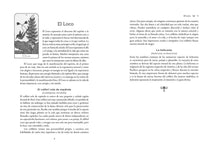 Load image into Gallery viewer, Tarot de los espíritus de la naturaleza by Jean Marie Herzel