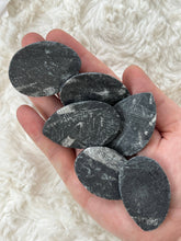 Load image into Gallery viewer, Orthoceras Fossil