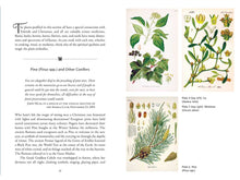 Load image into Gallery viewer, Sacred Herbs of Yule and Christmas by Ellen Evert Hopman