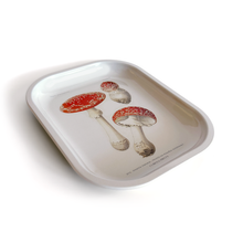 Load image into Gallery viewer, Metal Magic Mushroom Catchall Tray / Rolling Tray