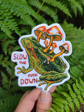 Load image into Gallery viewer, Mushroom Toad -Embroidered Patch- Slow Down PNW Forest Frog