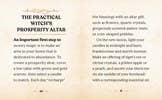 Load image into Gallery viewer, The Witches' Wealth Spell Book