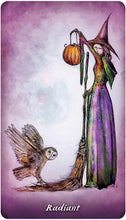 Load image into Gallery viewer, Earthly Souls & Spirits Moon Oracle