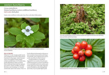 Load image into Gallery viewer, Pacific Northwest Medicinal Plants